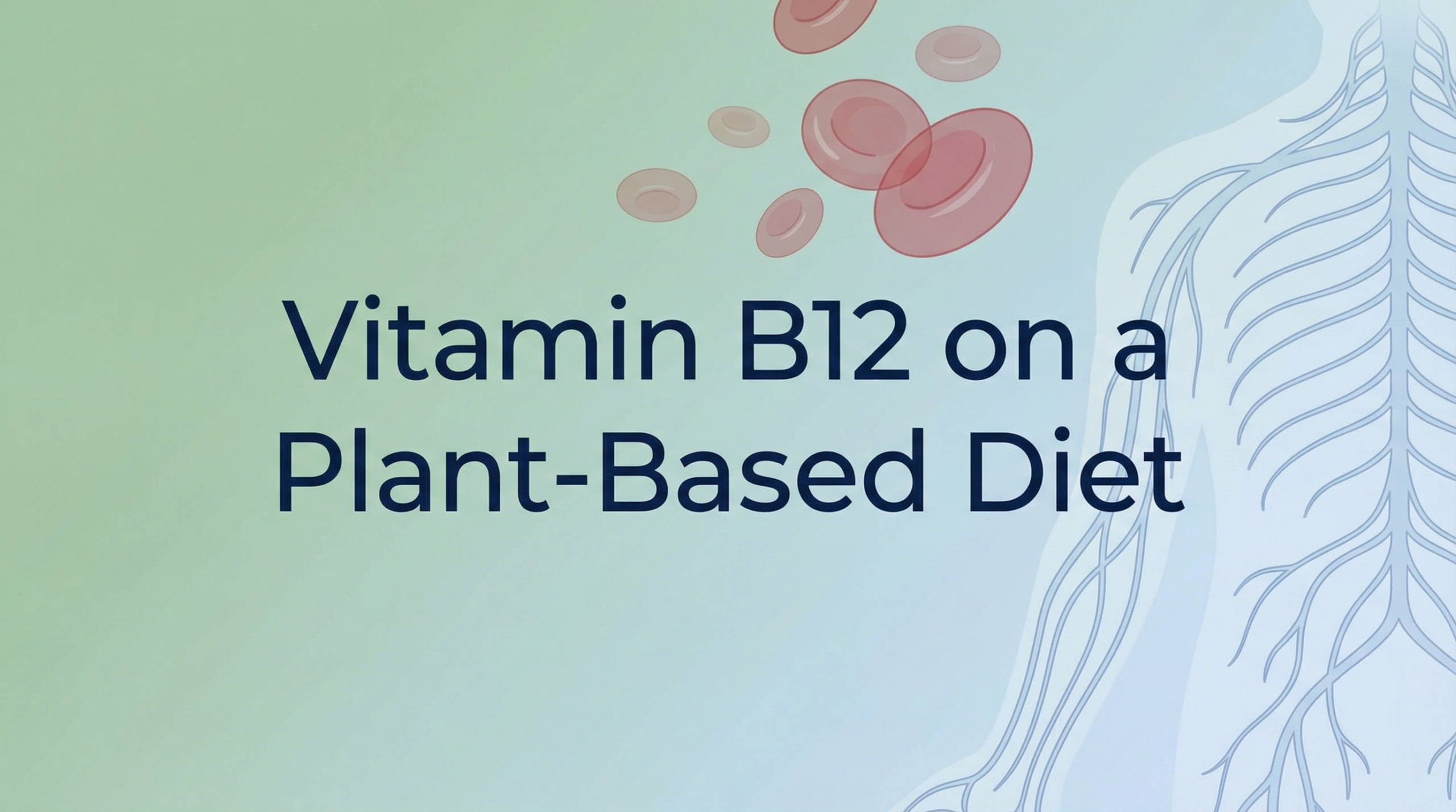 Vitamin B12 On A Plant -Based Diet